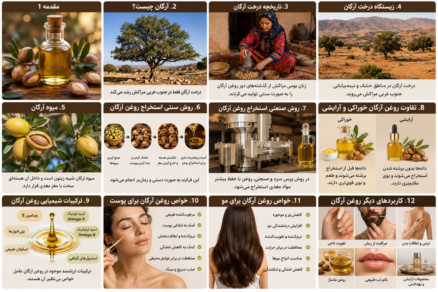 روغن آرگان چیست؟ تاریخچه، خواص، روش تولید، کاربردها و هر آنچه باید درباره طلای مایع مراکش بدانید