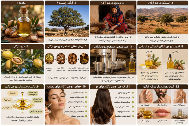 روغن آرگان چیست؟ تاریخچه، خواص، روش تولید، کاربردها و هر آنچه باید درباره طلای مایع مراکش بدانید